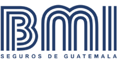 BMI Compañía de Seguros